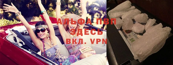 прущие грибы Верхнеуральск