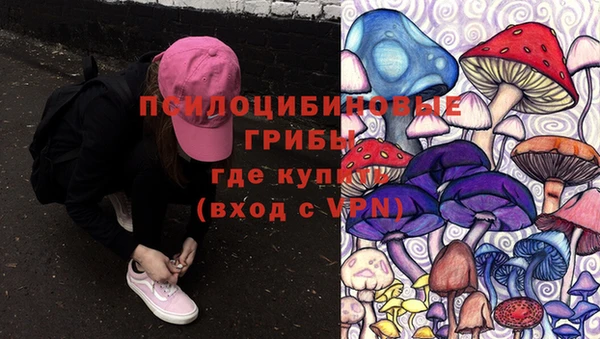 прущая мука Верхний Тагил