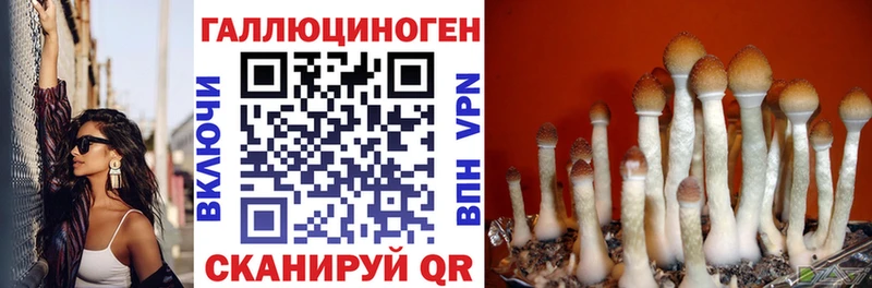 Галлюциногенные грибы GOLDEN TEACHER  Кострома 